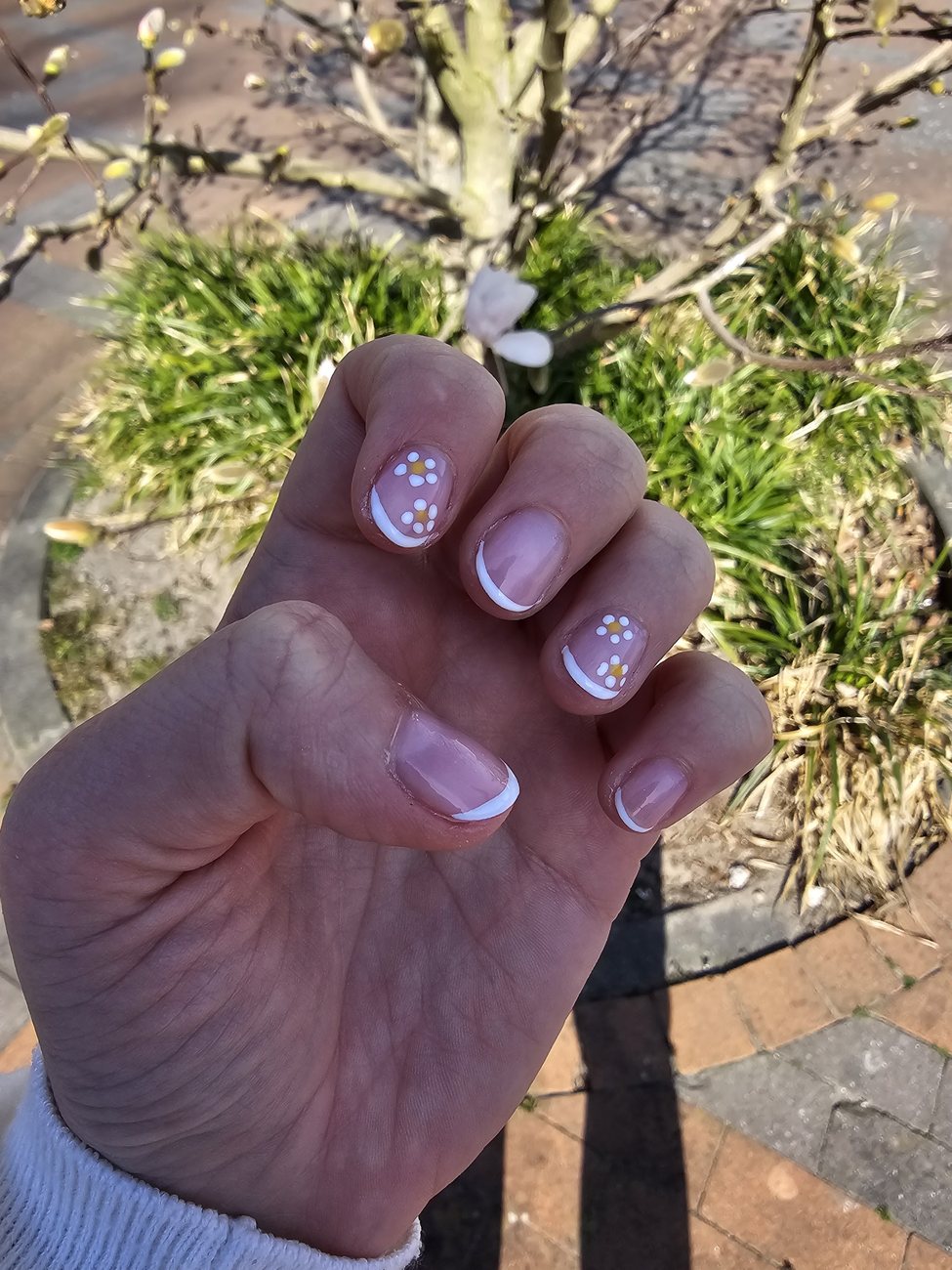 Korte nagels met een witte French en madeliefjes